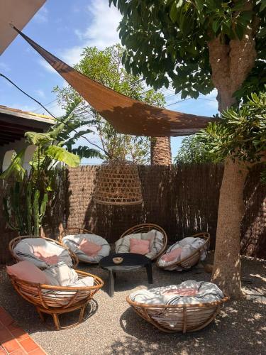 Kert, Hostal Flamingo by Nest in Ibiza