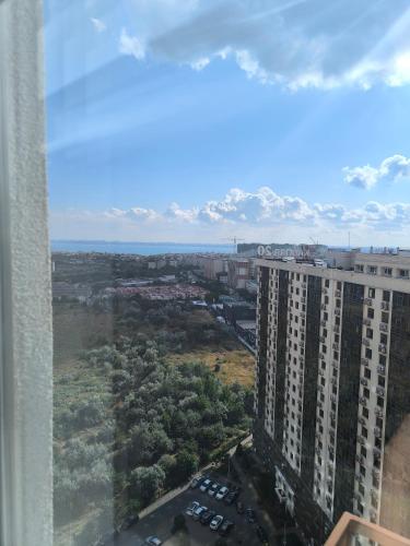 54 Жемчужина in Lisky