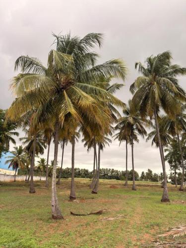 Poppins Villa 3BHK AC - image 4