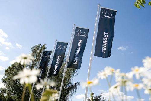 Vandrarhem Svanen - image 10