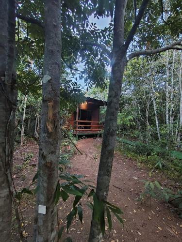 tapiri anavilhanas lodge in Novo Airão