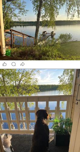 Ympärivuotinen järvenrantahuvila Pihtiputaalla (Ymparivuotinen jarvenrantahuvila Pihtiputaalla) in Pihtipudas