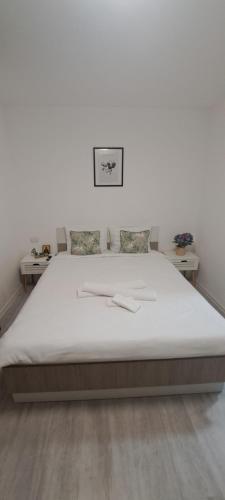 Alex House in Beclean (Brasov)