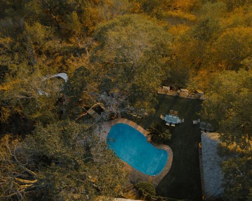 Masumu River Lodge - Swimming pool