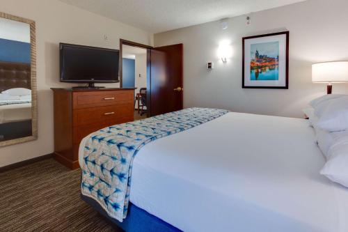 1 king bed, 1 sofa bed