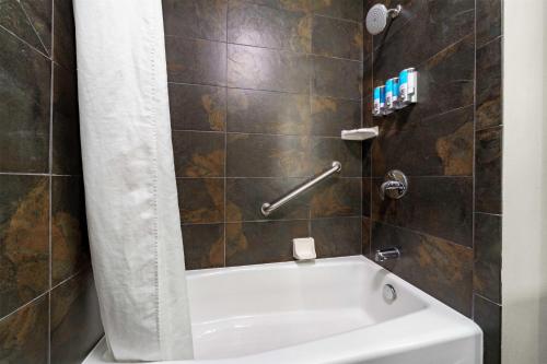 Drury Plaza Hotel New Orleans - image 4
