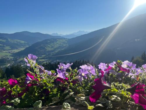 Ferienwohnungen Krapfenalm in Wagrain, Österreich