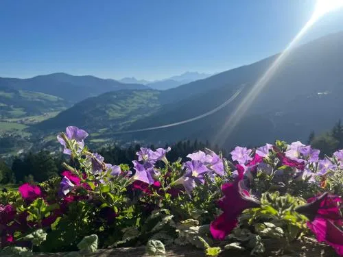 Ferienwohnungen Krapfenalm in Wagrain, Österreich