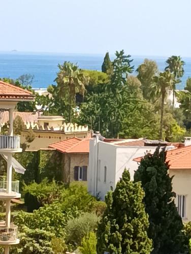 Plein sud