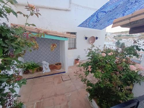 Ideal Perros Patio Privado Casa Jaruf 4