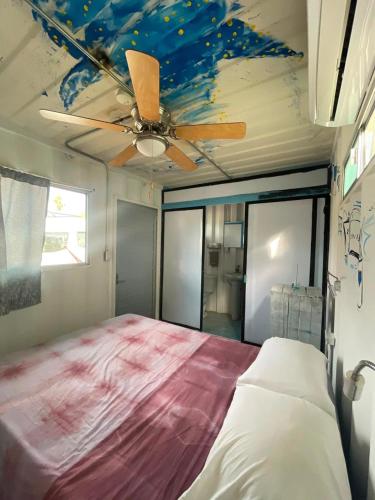 Peace Hostel MX in ลาปาซ