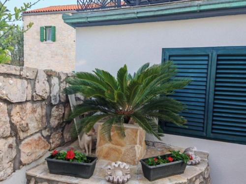 Privlaka Sunset Apartments - Two bedroom apartment 3 - image 4