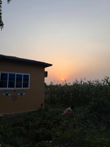 Wildflow jungle yoga safari and homestay in Meghauli