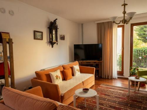 ห้องส่วนกลางสำหรับนั่งเล่น/ดูทีวี, Hostel - F in ดาโควิกา
