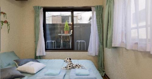Cosmo Mercy N-1 / Vacation STAY 12990 in Suginami