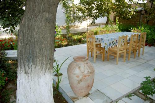 Riad Nur & Tours in Nurota