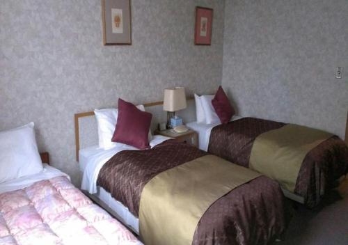 Skyhotel Uozu / Vacation Stay 59595 - Kurobe