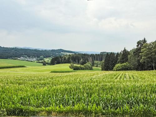 View, Apartment Rachel mit herrlichem Ausblick by Interhome in Rinchnach