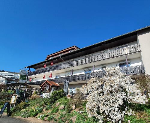 . Haus am Park