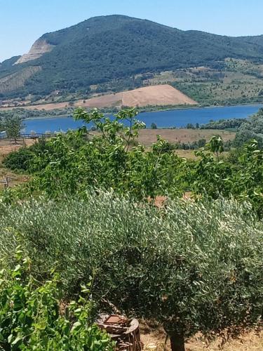 il NOCETO in Pignola