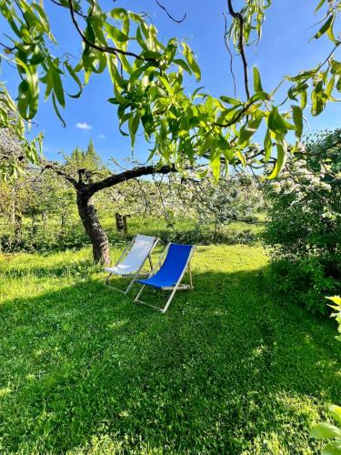 Glamping Vranov Na samotě U Včelína (Glamping Vranov Na samote U Vcelina) in Lančov