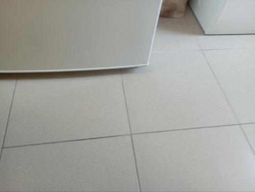 Magnifique appartement Dennis