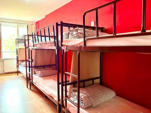 Let's Rock Party Hostel! Age Limit From 18 until 40! Room Type - Bed in 6-Bed Female Dormitory Room