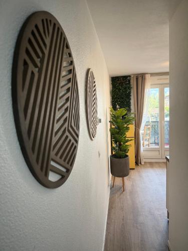 Paisible studio fonctionnel