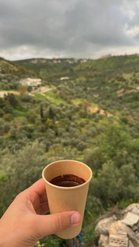 عجلون in Ajloun