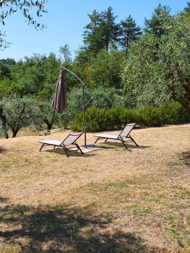 Kert, La Casa nel Bosco in Pieve A Maiano