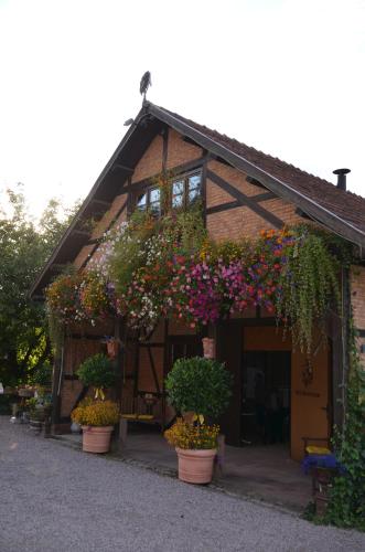 Landhotel der Schafhof Amorbach - image 2
