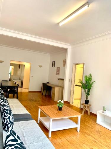Belga Apartment 3 bedrooms., Antverpy (fotografie 10)