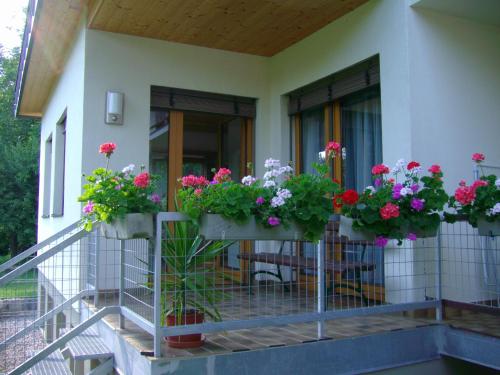 Bejárat, Gastehaus Kuchernig in Volkermarkt