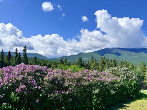 . Pine & Peak Hot Tub Private Lake 19 Acres Near Cranbrook
