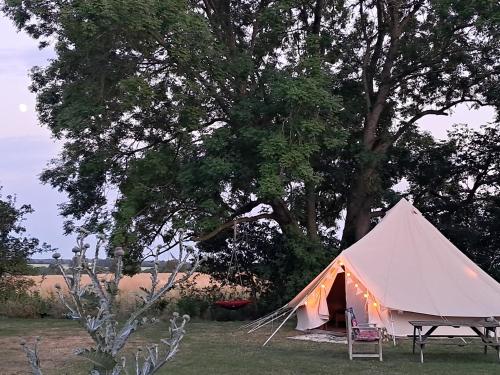 The Old Waterworks - Saturn 6m bell tent