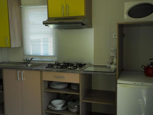 Mobil-home avec animaux - 2 pers. - API-1-52-2971 in Arcizans-Avant