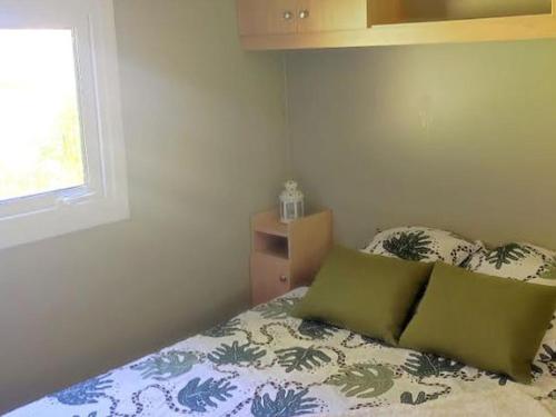 Mobil home, animaux admis - 4 pers. - API-1-52-2973 in Arcizans-Avant
