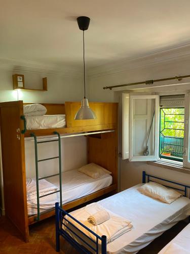 Botanique Guesthouse 4