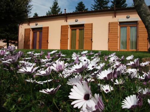  Poggio del Conero, Pension in Poggio