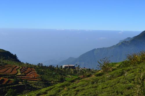 Hill Safari - Tea Estate Villa