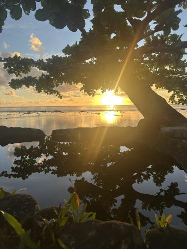 Sunsea lodge Tahiti - photo 9 - Tahiti, Polynésie