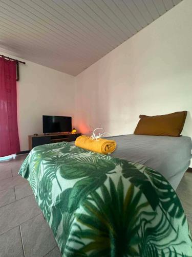 Sunsea lodge Tahiti - photo 10 - Tahiti, Polynésie