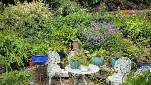 Tracebridge Cottage B&B - image 5