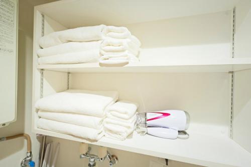 Sapporo - Apartment - Vacation STAY 7939, Sapporo (photo 8)