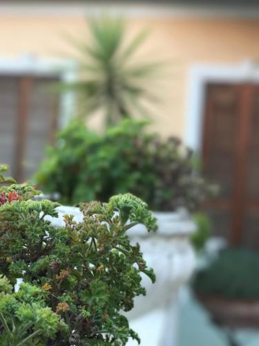 Hotel Piemontese - image 11