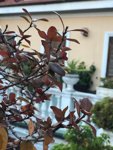 Hotel Piemontese - image 13