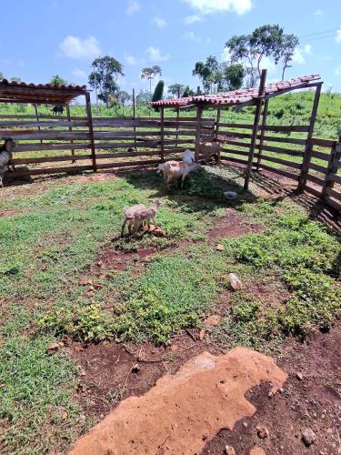 Rancho Emiliano in Ekbalam