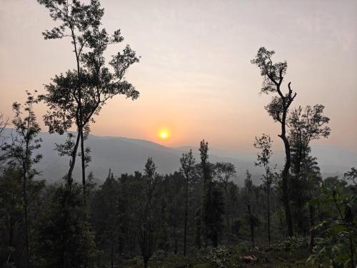 Seegodu Premium Coffee Estate Stay in Balehonnur