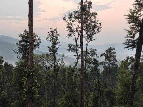 Seegodu Premium Coffee Estate Stay in Balehonnur