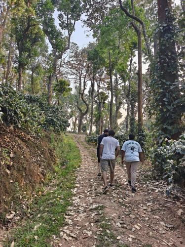 Seegodu Premium Coffee Estate Stay in Balehonnur